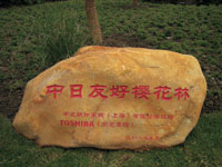 中芝软件系统公司樱花林