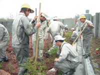 江西东芝电子材料有限公司植树活动