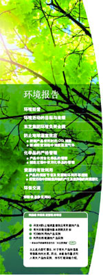 环境报告