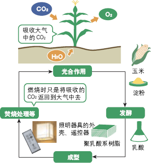 采用植物制成的塑料制品全寿命周期的循环