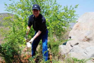 东芝中国总代表栽种郭晶晶赠送树苗