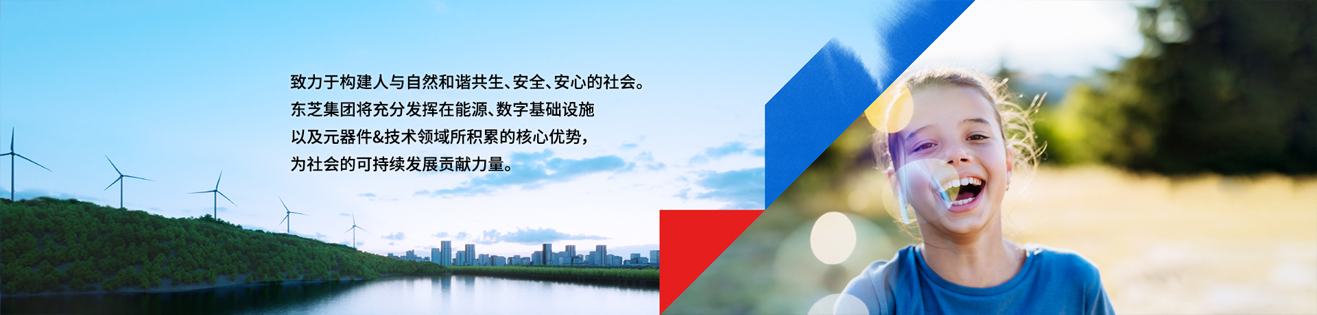 事业领域 事业领域