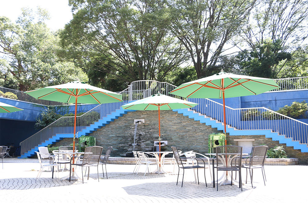 神奇的东芝室外空调系统：利用井水将动物园打造成休闲绿洲